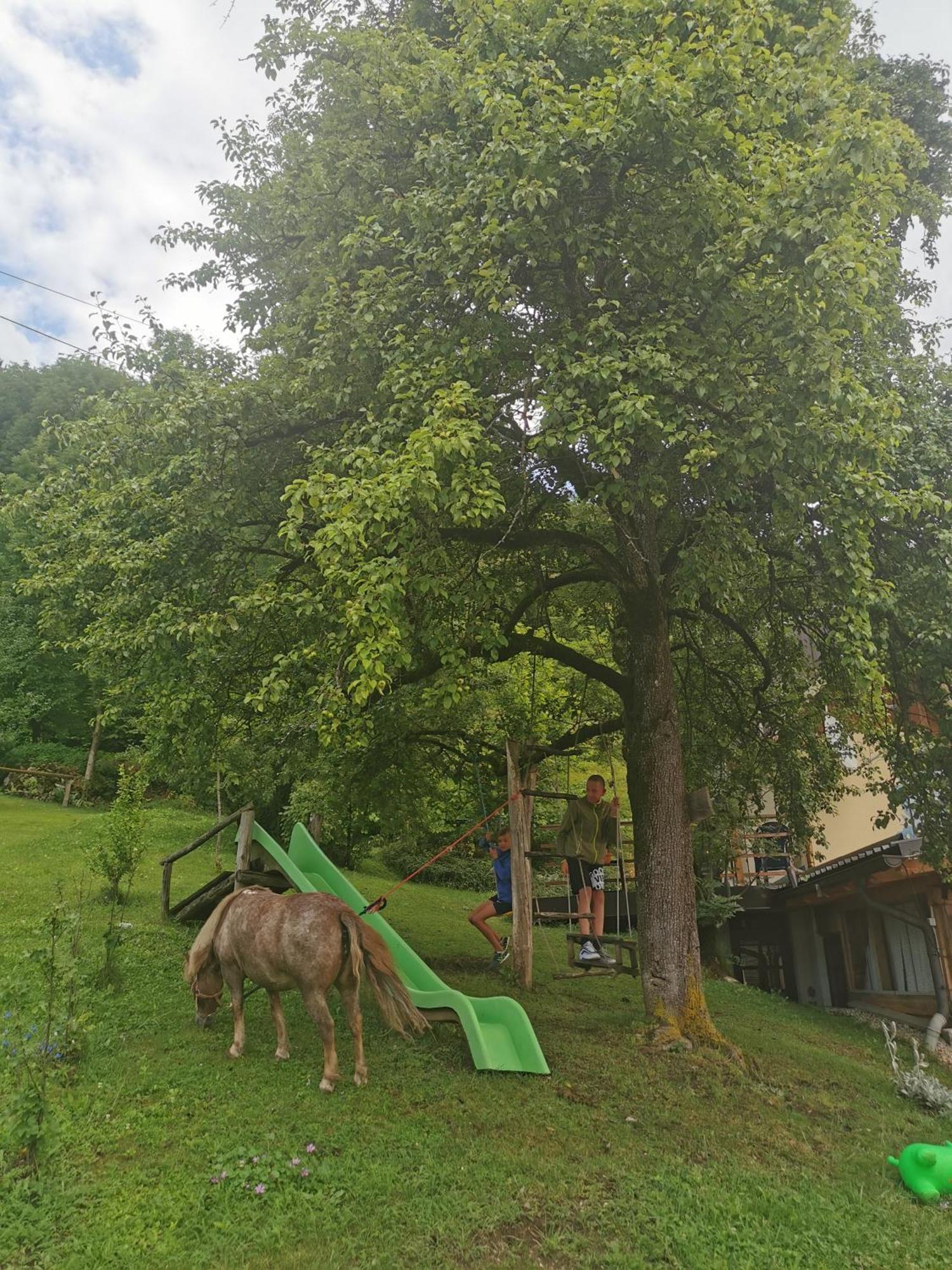 Slovenian Traditional Guest House Begunje Exterior foto
