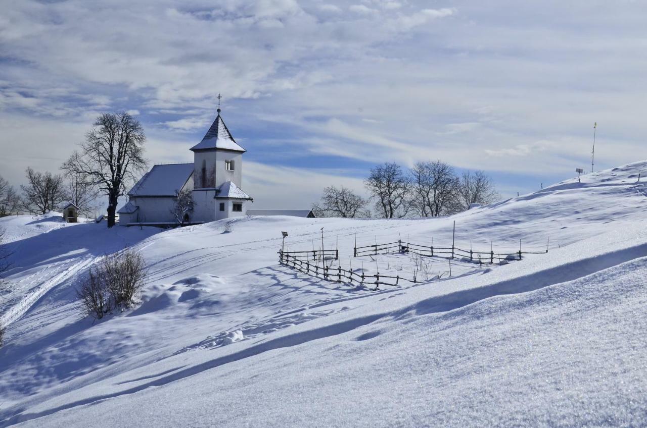 Slovenian Traditional Guest House Begunje Exterior foto